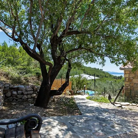 Semesterbostad Olive Garden-pool, Privacy & Parking Makarska