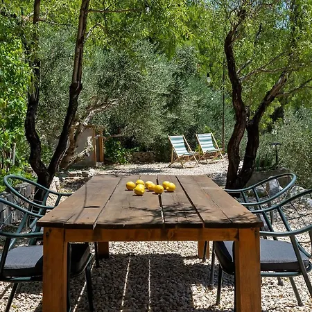 Semesterbostad Olive Garden-pool, Privacy & Parking Makarska