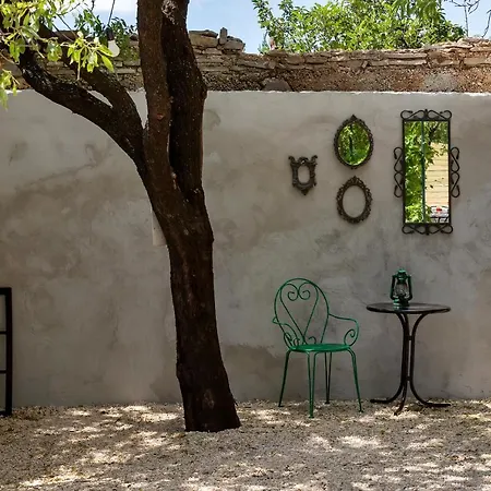 Olive Garden-pool, Privacy & Parking بيت للعطل *