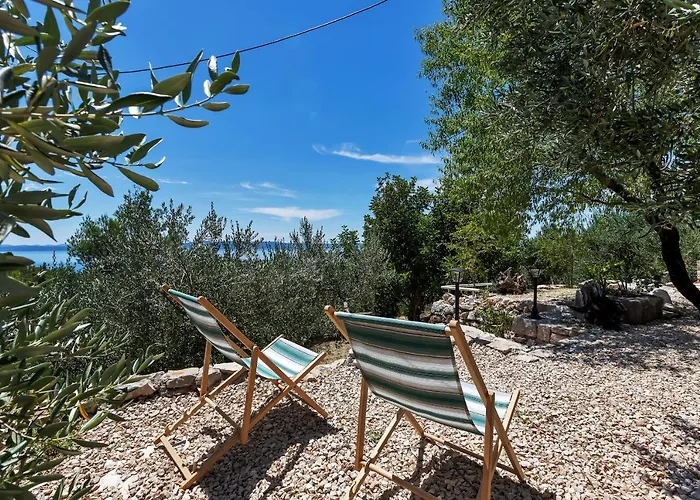 Olive Garden-pool, Privacy & Parking *