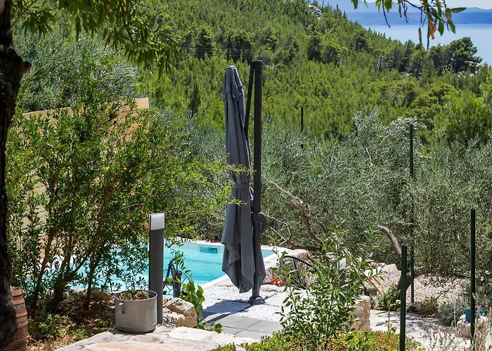 Olive Garden-pool, Privacy & Parking بيت للعطل *
